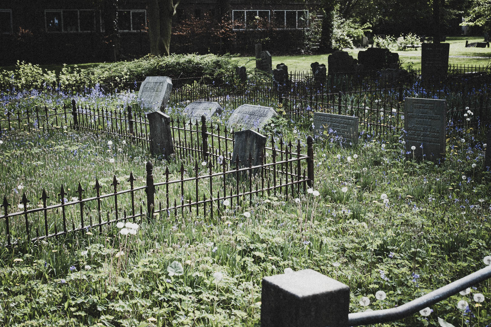 Middelharnis, Jüdischer Friedhof